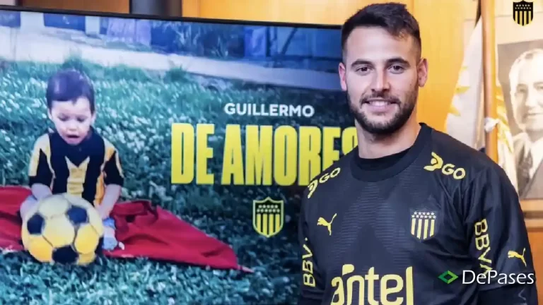 Guillermo De Amores